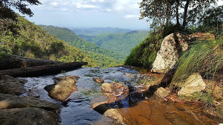 Springbrook National Park, Queensland, Australia