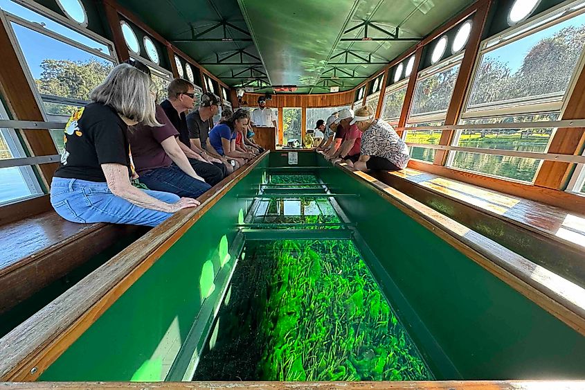 Silver Springs State Park and Glass Bottom Tour boat interior Image credit Bryan Dearsley