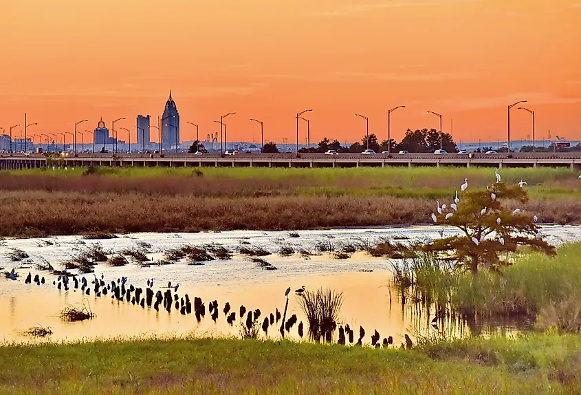 Alabama skyline. Image credit Angie Carn via Shutterstock.