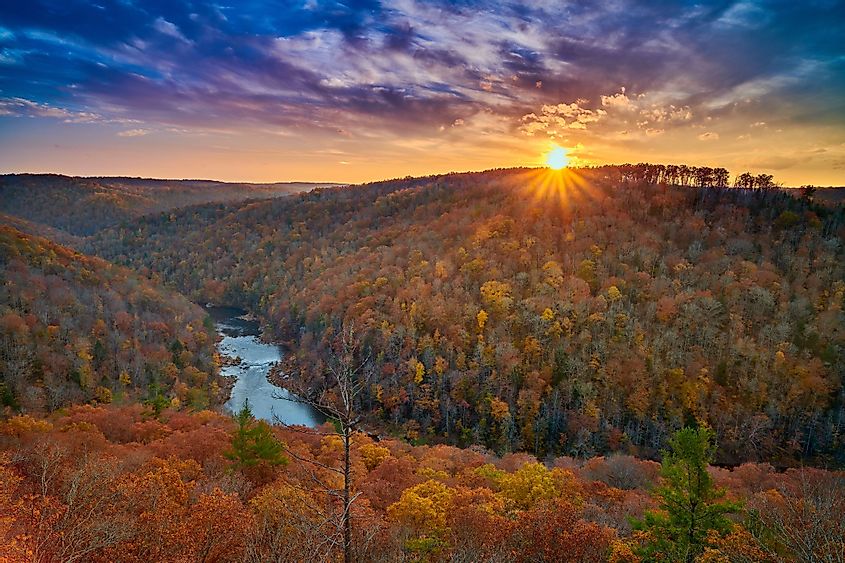 East Rim Overlook - Big South Fork National River and Recreation Area, Tennessee