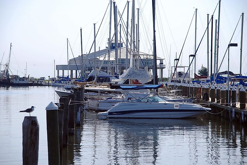 Pass Christian Harbor with docked boats in the Mississippi River