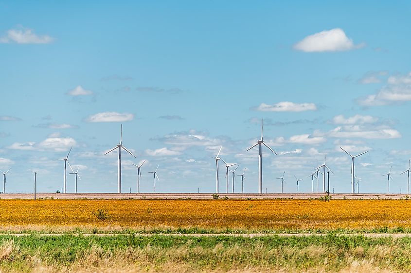 Wind turbine farm generator near Sweetwater.