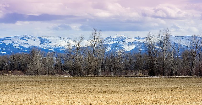 Elkhorn Mountains outside Helena Montana in spring.