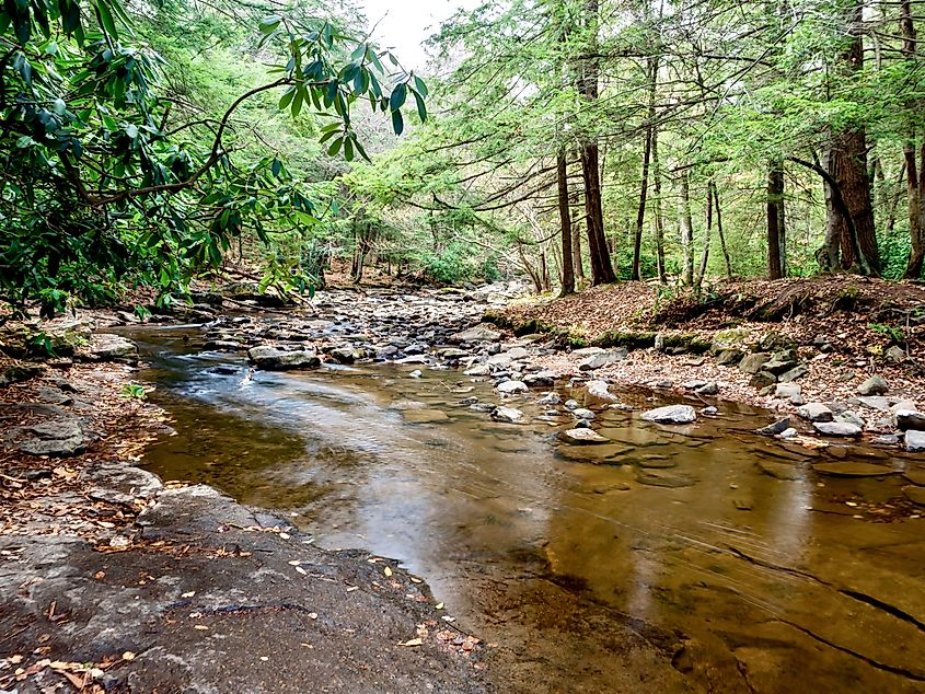 Swallow Falls State Park