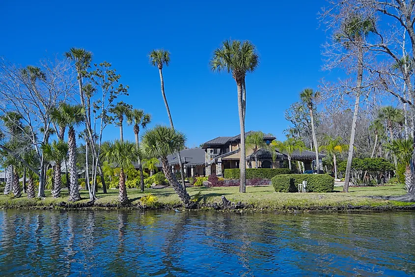 Homosassa springs