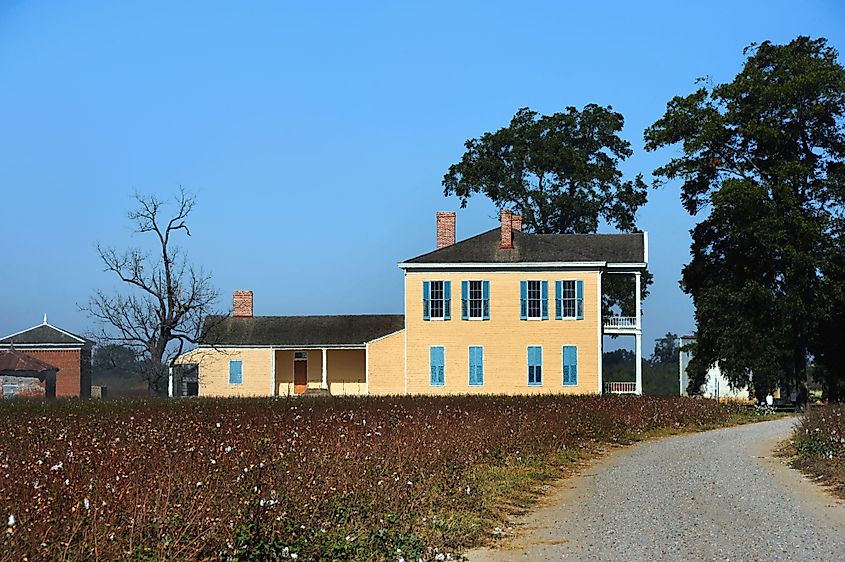 Road leads to Lakeport Plantation in the Mississippi Delta area of Arkansas. 