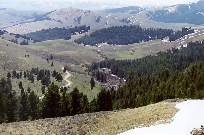 Lemhi Pass, Beaverhead-Deerlodge National Forest, Montana, United States.