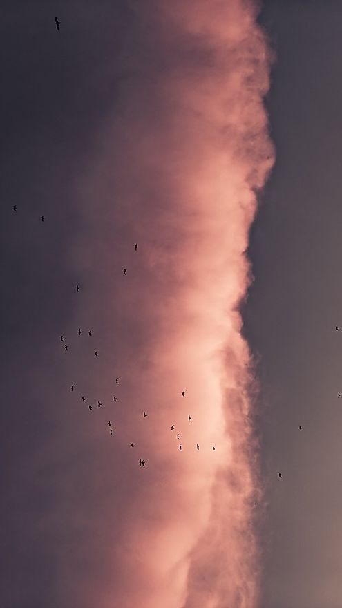 Smoke on a dark sky in evening time