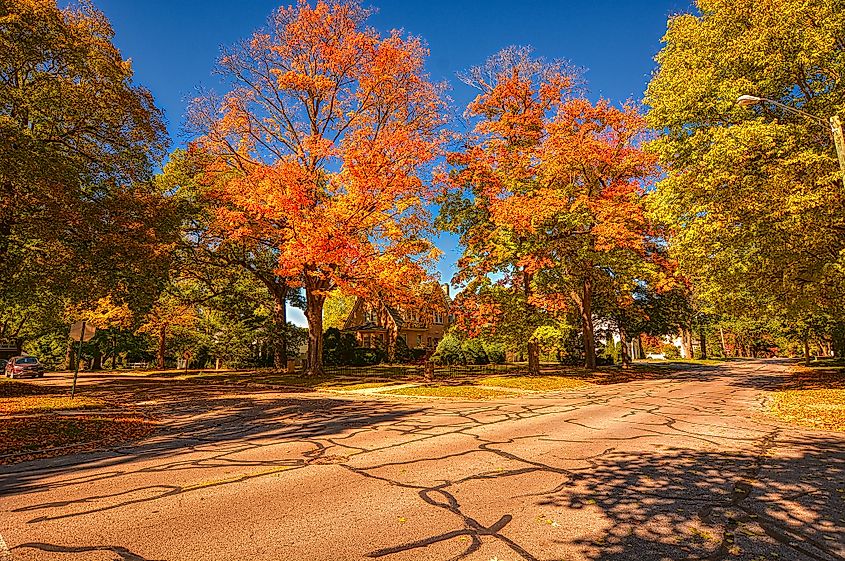 Gorgeous fall colors in Morris, Illinois.