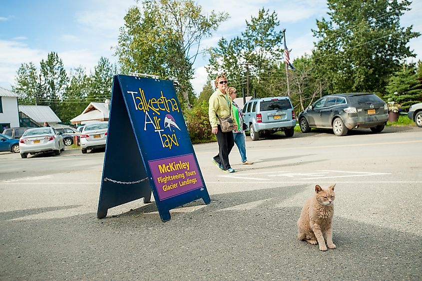 Talkeetna Air Taxi stand in Talkeetna, Alaska