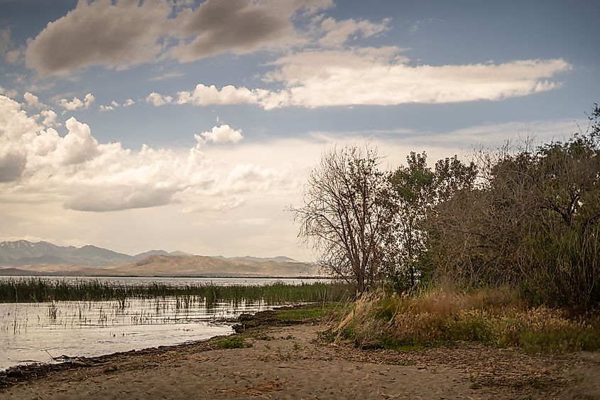 Vineyard Beach Shore Lake Evening. Credit: seaseasyd/Shutterstock.com