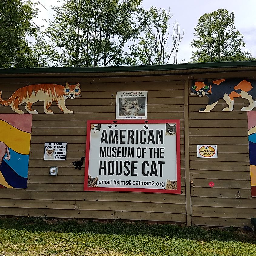 American Museum of the House Cat in Sylva, North Carolina.