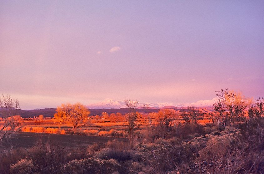 Virgin Valley just west of Bunkerville, Nevada.