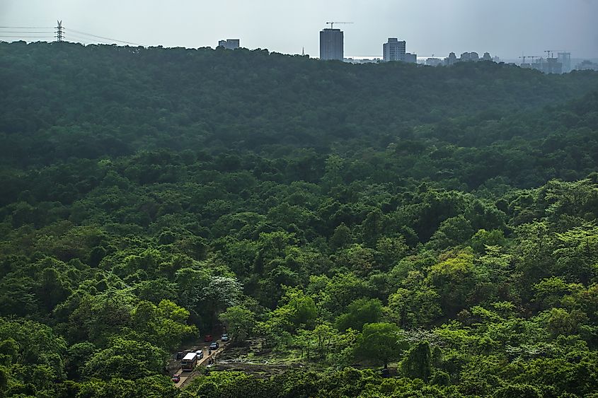 Sanjay Gandhi National Park