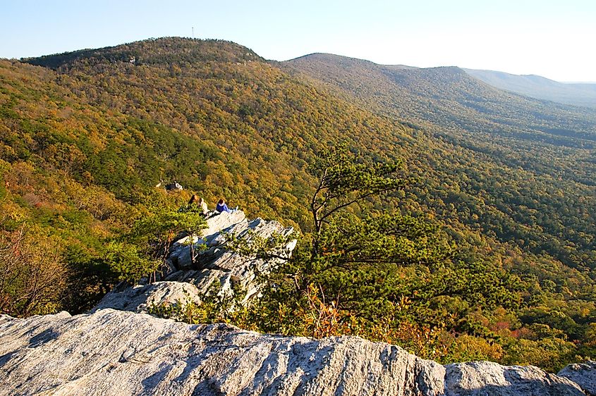 The Talladega Scenic Drive leads through gorgeous forested landscapes of the Talladega National Forest.