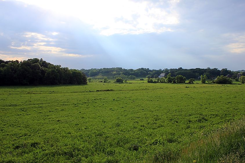 Sunset on the road through New Glarus Woods State Park in Wisconsin