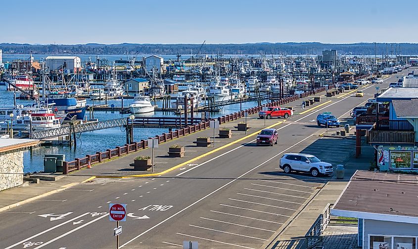 Boats are packed into the marina at Westport, Washington