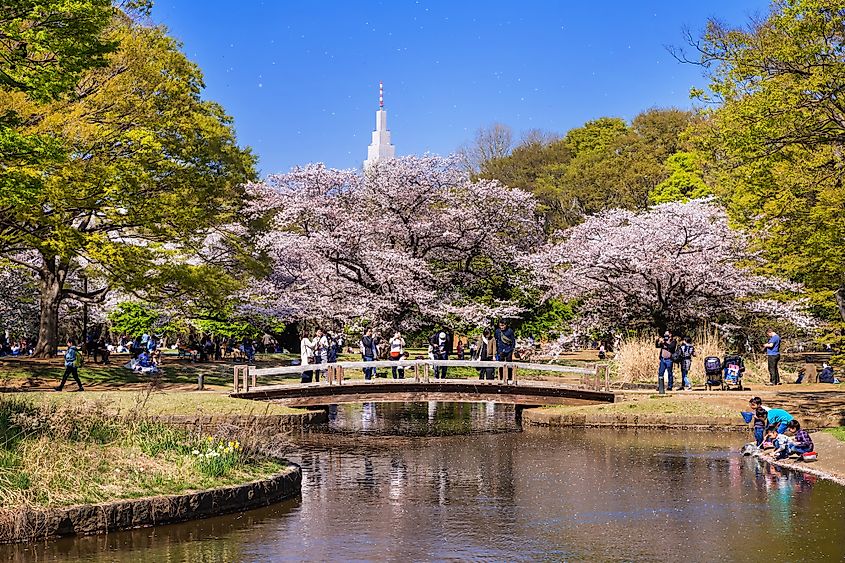 Yoyogi Park