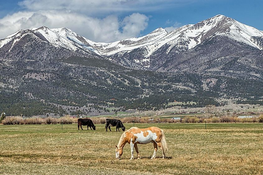 The gorgeous mountains in Westcliffe, Colorado.