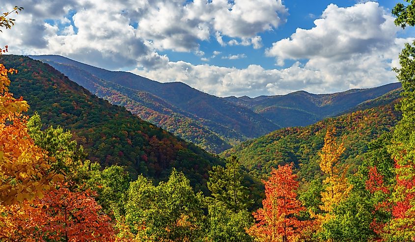 Autumn on the Cherohala Skyway. Cherohala Skyway, Appalachian Mountains, Tennessee and North Carolina. 