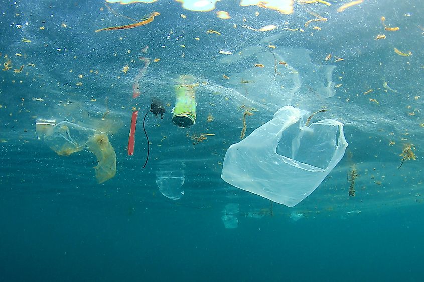 Plastic bags and other pollution in ocean.
