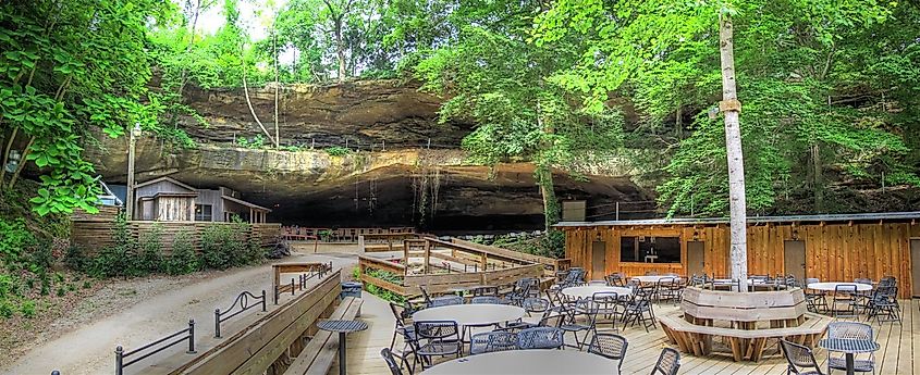 Rattlesnake Saloon near Tuscumbia, Alabama.