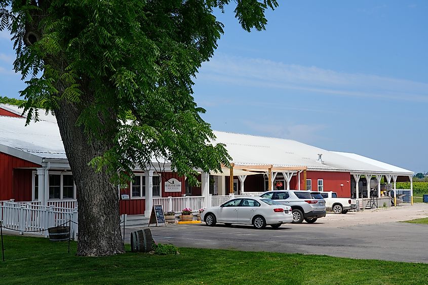 Exploring the Black Star Farm Winery.
