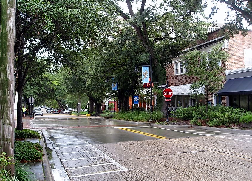 Live oaks in downtown Ocean Springs, Mississippi. 