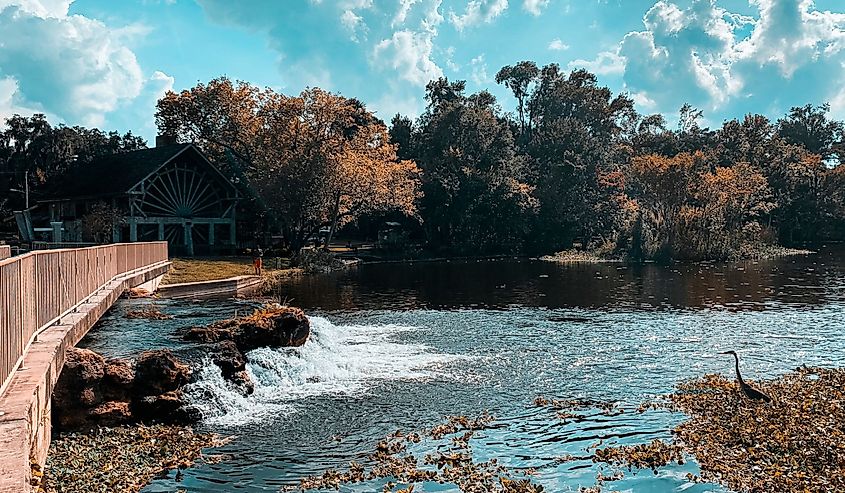 Beautiful cloudy day at Ponce de Leon Springs State Park