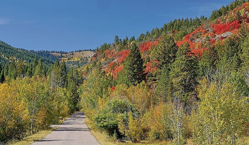 Roadway leading into mountains just west of St. Charles, Idaho.