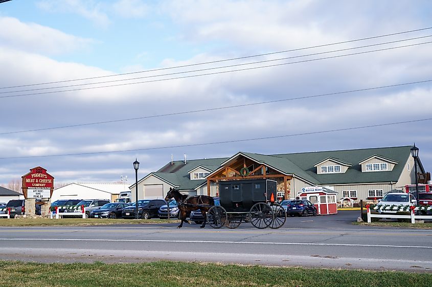 An Amish. buggy in Shipshewana, Indiana