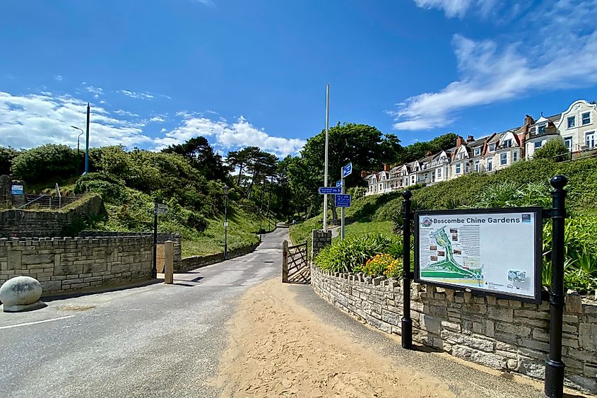 Boscombe Chine Gardens, Bournemouth. Image credit: Bryan Dearsley