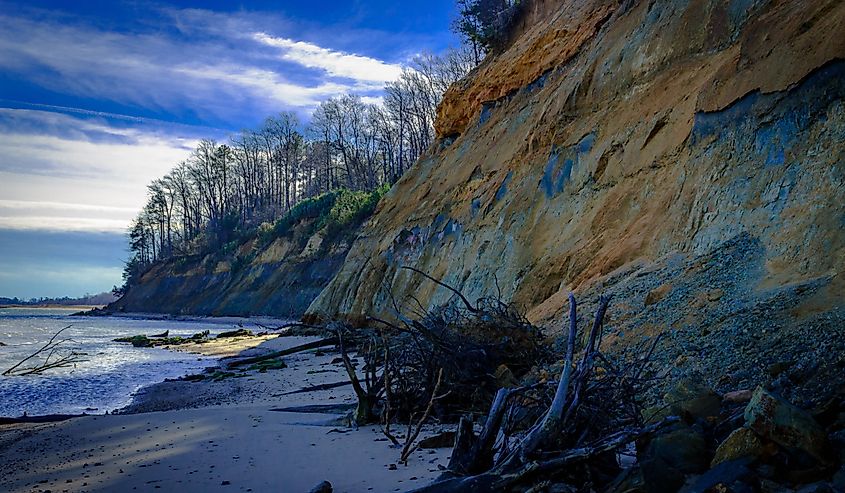 Calvert Cliff State Park in Maryland