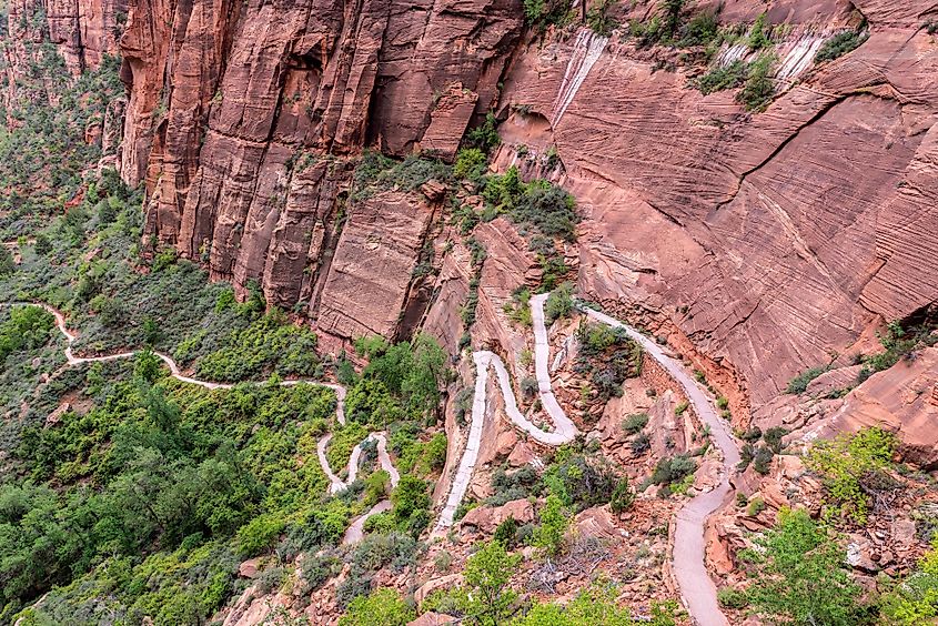 switchback hiking trail leading to the Angels Landing