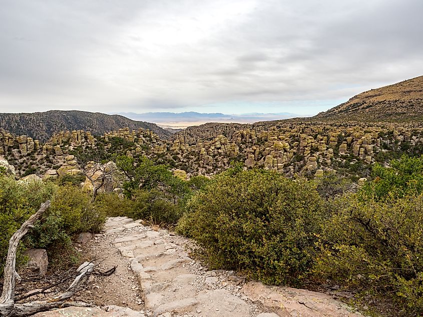 Panoramic view of Massai Point in Chiricahua National Monument, near Willcox, Cochise County, Arizona, USA. Credit: Ventu Photo/Shutterstock.com