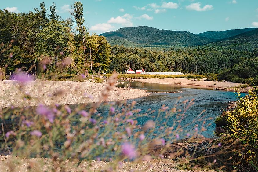 There is a small farm set in the valley alongside a river. Adirondack mountains tower behind it and flowers are in bloom, via Chelsea Mealo / Shutterstock.com