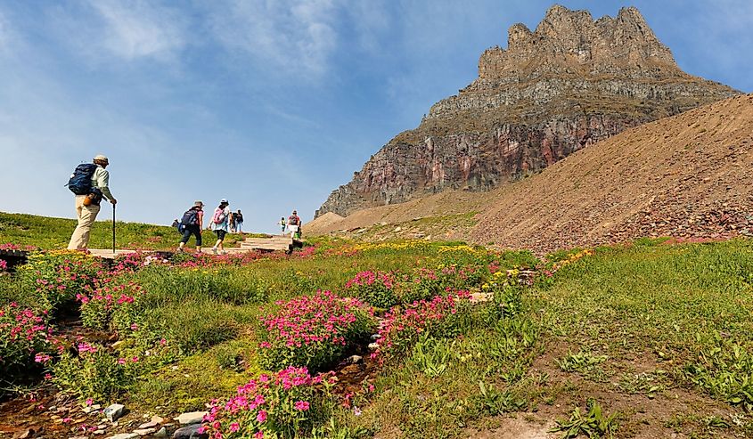 Logan Pass is located along the Continental Divide in Glacier National Park, in the state of Montana