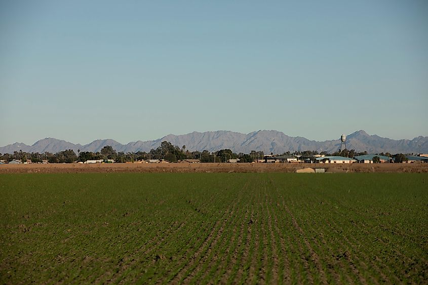 Afternoon view of of the city of Somerton, Arizona, USA.