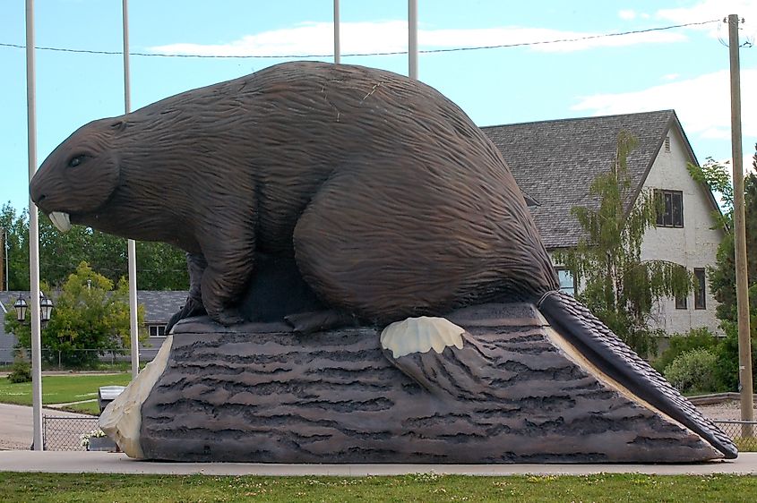 Statue of giant beaver in Beaverlodge, Alberta, Canada