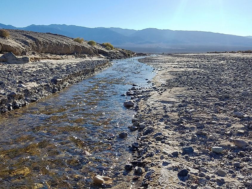 Amargosa River