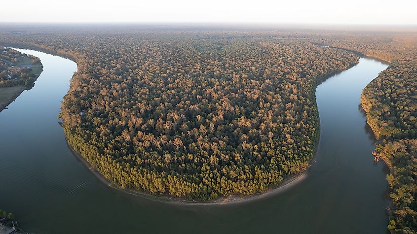 Louisiana Atchafalaya Basin aerial overview.