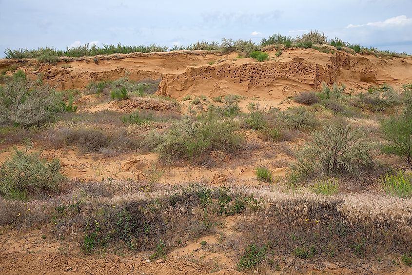 Colorful spring landscape in the steppes of Kalmykia, Russia