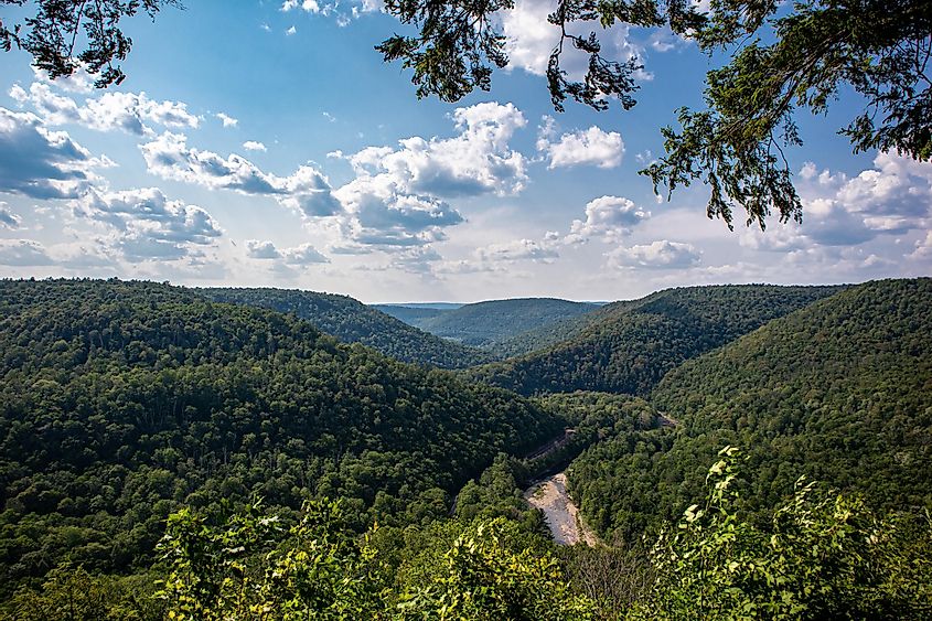 World's End State Park from the Loyalsock Canyon