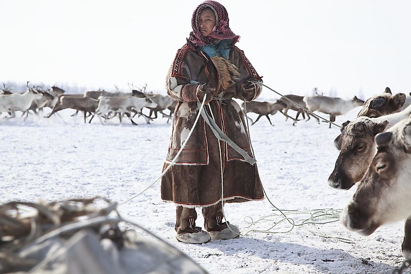 The indigenous communities in Arctic region of Russia