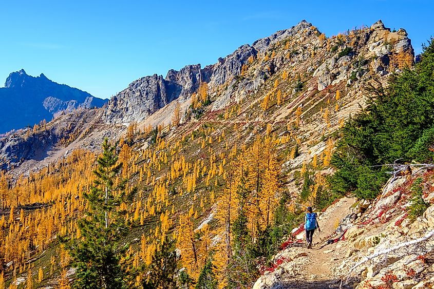 Pacific Crest Trail