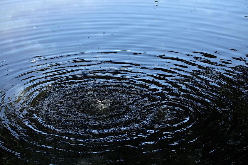 Capillary waves created by falling water droplets.