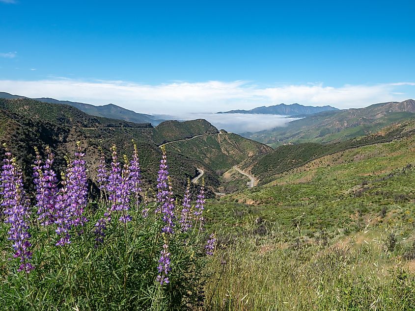 Los Padres National Forest near Ojai, California