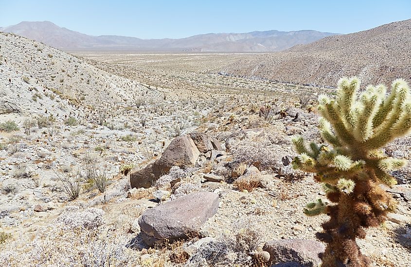 Anza-Borrego Desert State Park is California's largest State Park.
