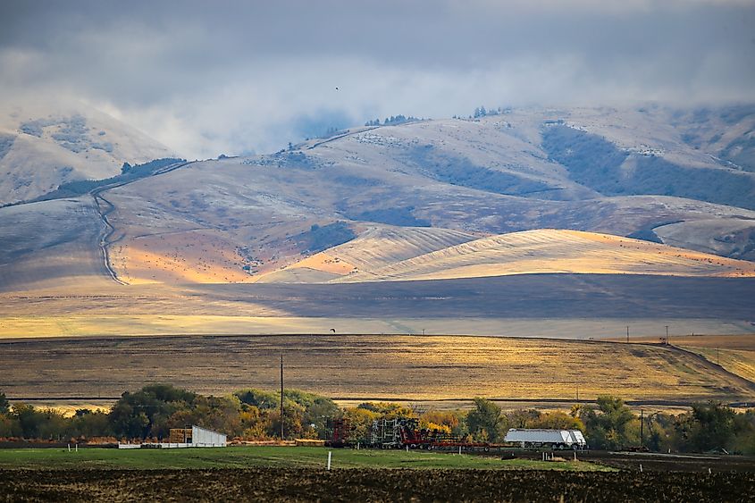 First snow of the season on the Blue Mountains in Walla Walla, Washington