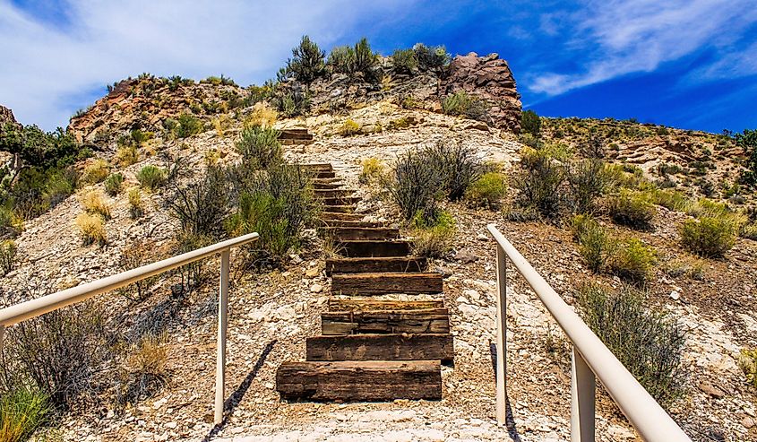 Looking up the stairs in Kershaw-Ryan State Park.